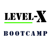 level_x